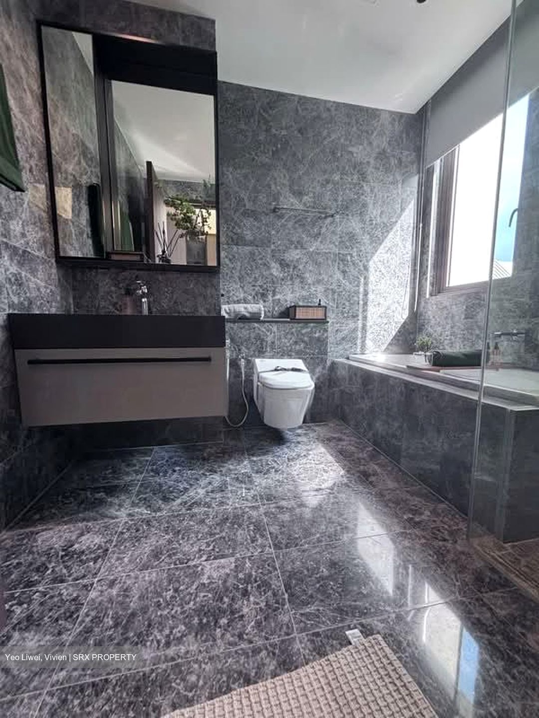 Parksuites (D10), Apartment #591356491